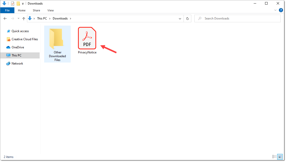 Arrow pointing to ‘Privacy Notice’ file in the Downloads window. 